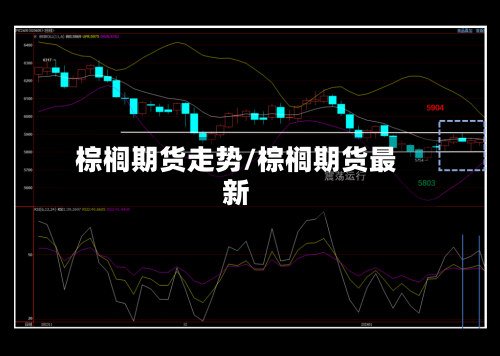 棕榈期货走势/棕榈期货最新-第1张图片