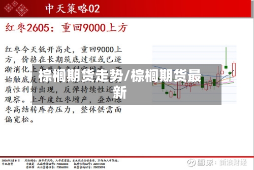 棕榈期货走势/棕榈期货最新-第2张图片