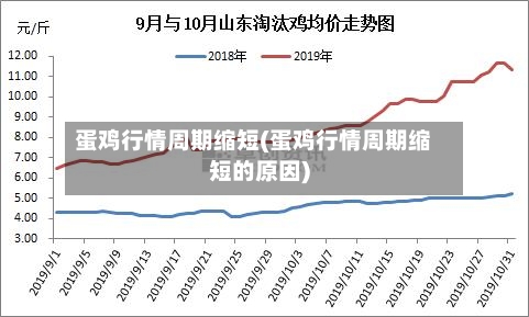 蛋鸡行情周期缩短(蛋鸡行情周期缩短的原因)-第1张图片