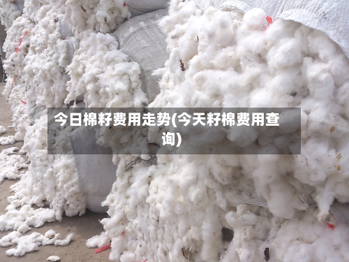 今日棉籽费用走势(今天籽棉费用查询)-第1张图片
