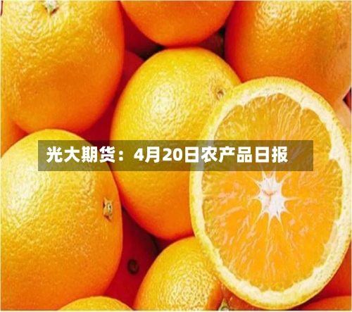 光大期货：4月20日农产品日报-第3张图片