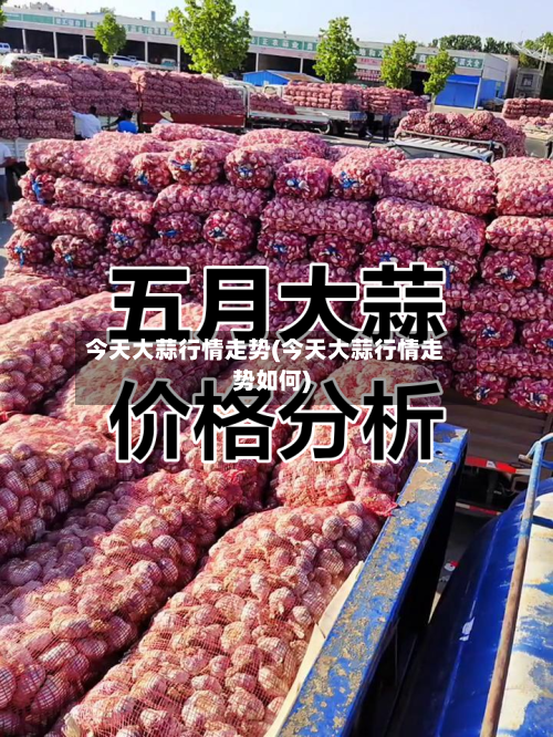今天大蒜行情走势(今天大蒜行情走势如何)-第1张图片