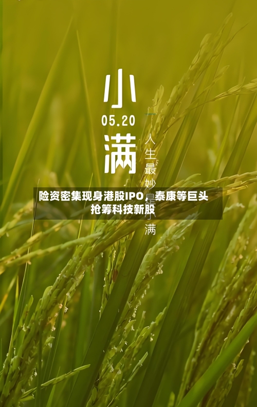 险资密集现身港股IPO，泰康等巨头抢筹科技新股-第1张图片