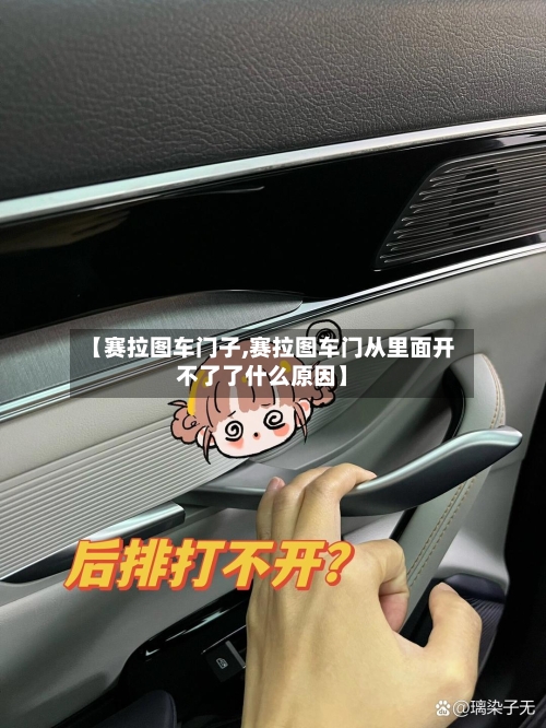 【赛拉图车门子,赛拉图车门从里面开不了了什么原因】-第1张图片