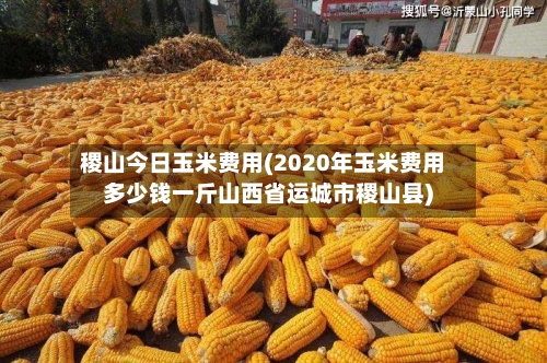 稷山今日玉米费用(2020年玉米费用多少钱一斤山西省运城市稷山县)-第1张图片
