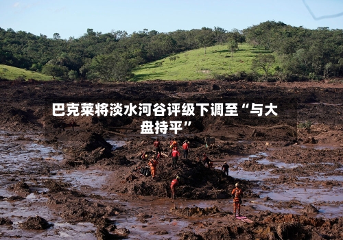 巴克莱将淡水河谷评级下调至“与大盘持平	”-第2张图片