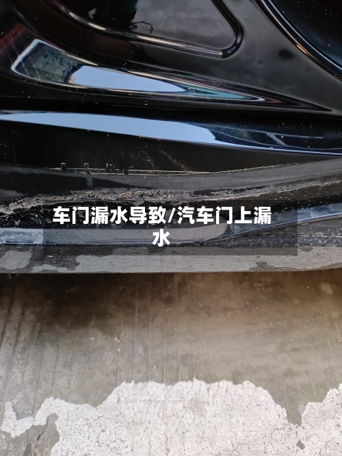 车门漏水导致/汽车门上漏水-第2张图片