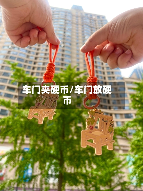 车门夹硬币/车门放硬币-第2张图片