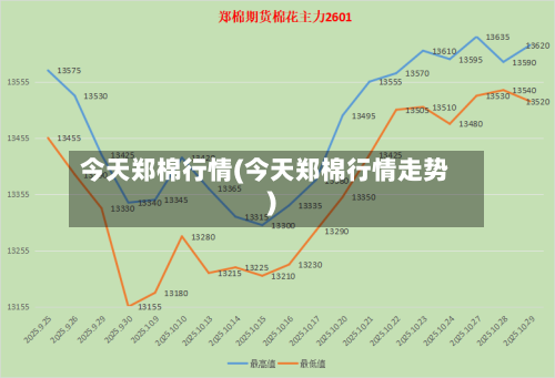 今天郑棉行情(今天郑棉行情走势)-第2张图片