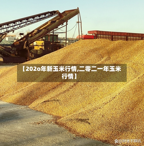 【202o年新玉米行情,二零二一年玉米行情】-第1张图片