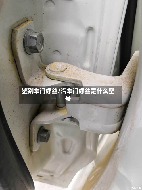 鉴别车门螺丝/汽车门螺丝是什么型号-第2张图片