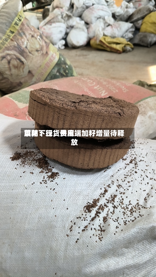 菜粕：现货费用震荡下行，供应端加籽增量待释放-第1张图片