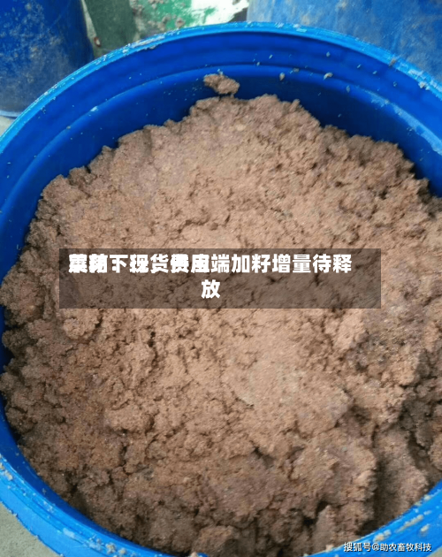 菜粕：现货费用震荡下行，供应端加籽增量待释放-第3张图片