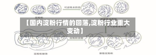 【国内淀粉行情的回落,淀粉行业重大变动】-第3张图片