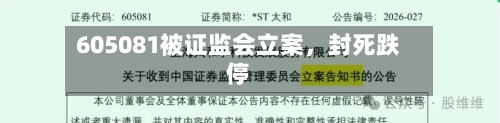 605081被证监会立案，封死跌停-第1张图片