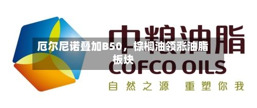 厄尔尼诺叠加B50	，棕榈油领涨油脂板块-第2张图片