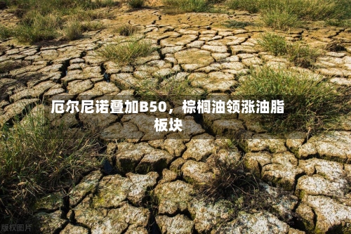 厄尔尼诺叠加B50，棕榈油领涨油脂板块-第1张图片