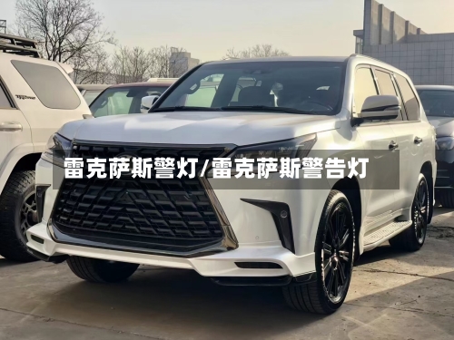 雷克萨斯警灯/雷克萨斯警告灯-第1张图片