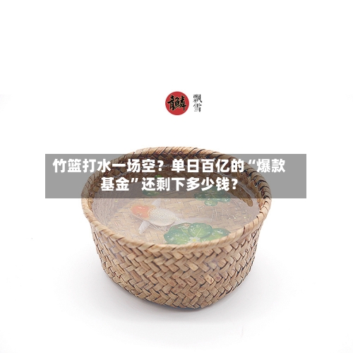 竹篮打水一场空？单日百亿的“爆款基金	”还剩下多少钱？-第1张图片