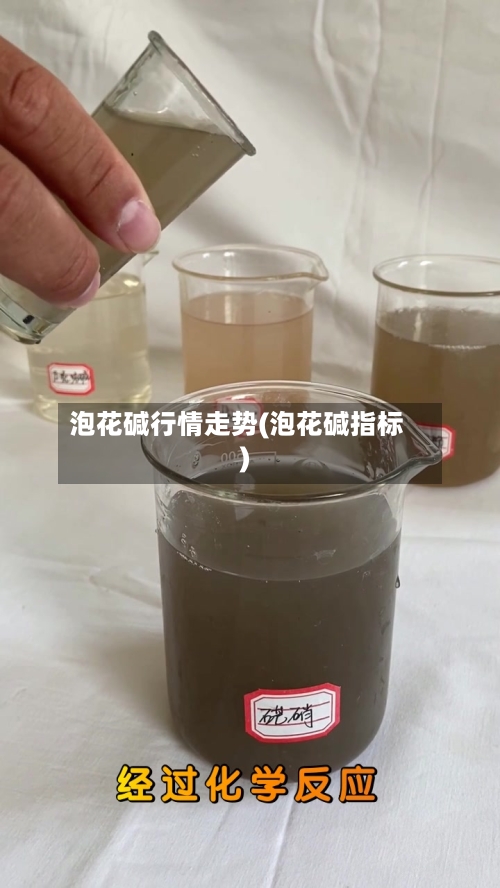 泡花碱行情走势(泡花碱指标)-第2张图片