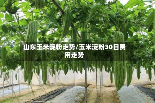 山东玉米淀粉走势/玉米淀粉30日费用走势-第2张图片