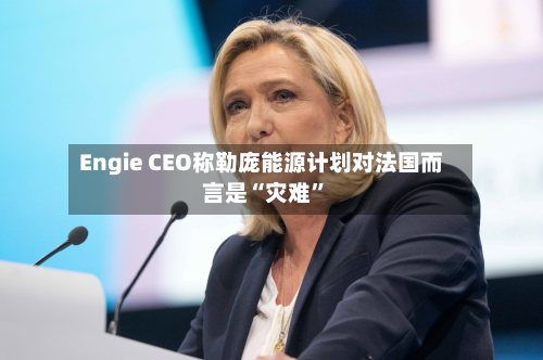 Engie CEO称勒庞能源计划对法国而言是“灾难”-第2张图片