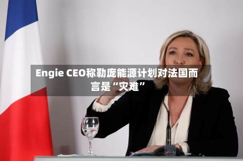 Engie CEO称勒庞能源计划对法国而言是“灾难”-第3张图片