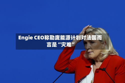 Engie CEO称勒庞能源计划对法国而言是“灾难”-第1张图片