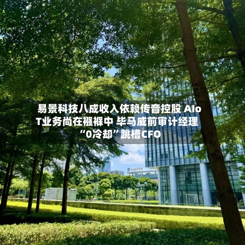 易景科技八成收入依赖传音控股 AIoT业务尚在襁褓中 毕马威前审计经理“0冷却	”跳槽CFO-第2张图片