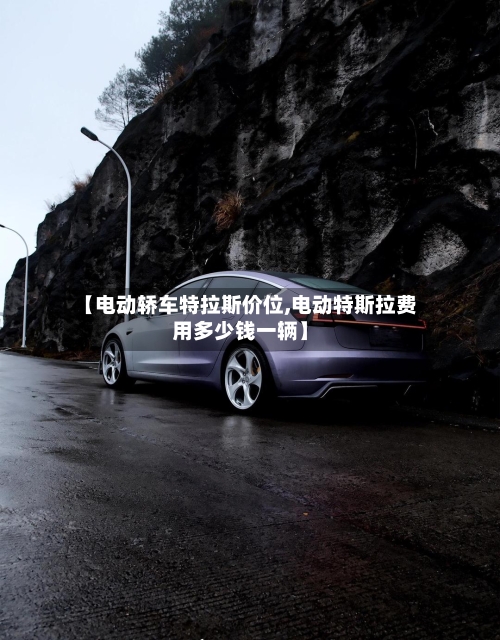 【电动轿车特拉斯价位,电动特斯拉费用多少钱一辆】-第1张图片
