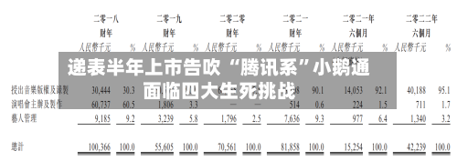 递表半年上市告吹 “腾讯系”小鹅通面临四大生死挑战-第3张图片