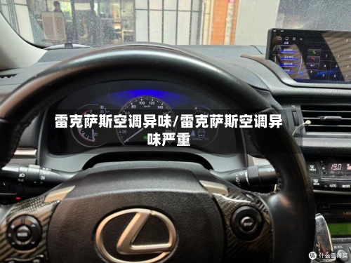 雷克萨斯空调异味/雷克萨斯空调异味严重-第3张图片