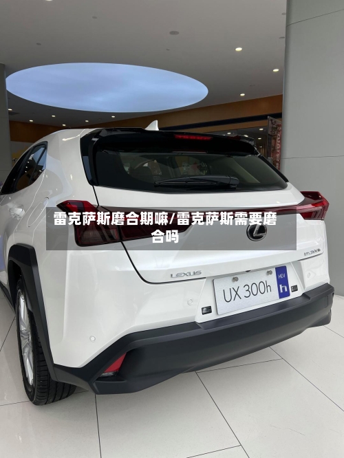 雷克萨斯磨合期嘛/雷克萨斯需要磨合吗-第1张图片