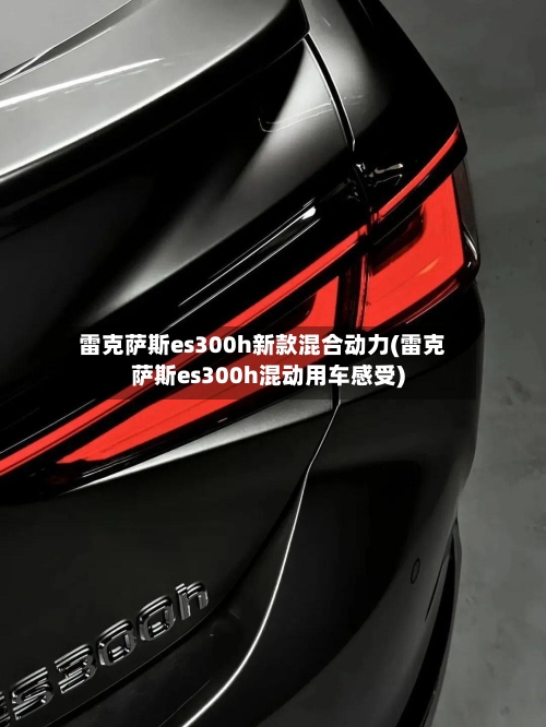 雷克萨斯es300h新款混合动力(雷克萨斯es300h混动用车感受)-第3张图片