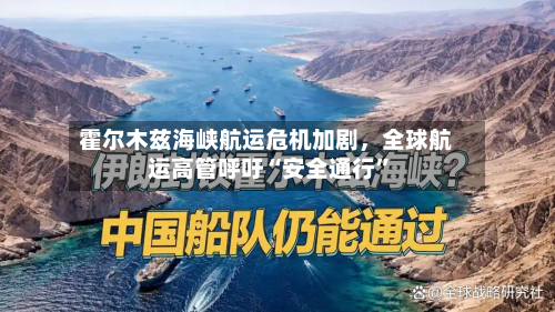 霍尔木兹海峡航运危机加剧，全球航运高管呼吁“安全通行”-第3张图片