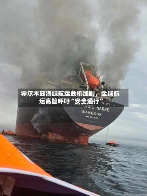 霍尔木兹海峡航运危机加剧，全球航运高管呼吁“安全通行	”-第2张图片