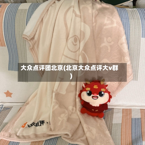 大众点评团北京(北京大众点评大v群)-第2张图片