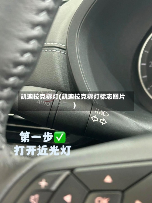 凯迪拉克雾灯(凯迪拉克雾灯标志图片)-第3张图片