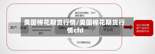 美国棉花期货行情/美国棉花期货行情cfd-第2张图片