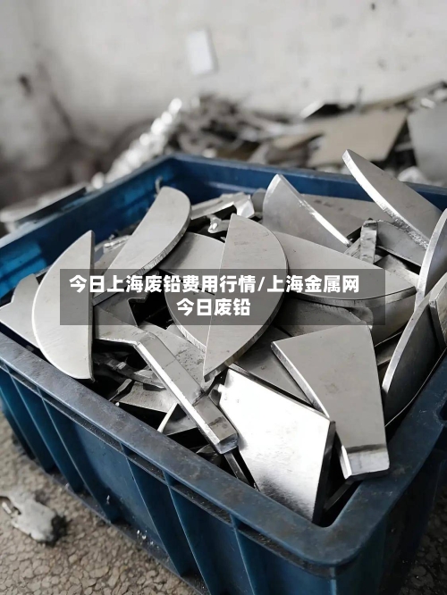 今日上海废铅费用行情/上海金属网今日废铅-第1张图片