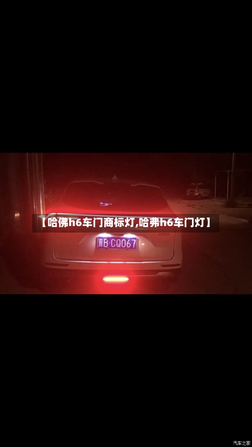 【哈佛h6车门商标灯,哈弗h6车门灯】-第1张图片