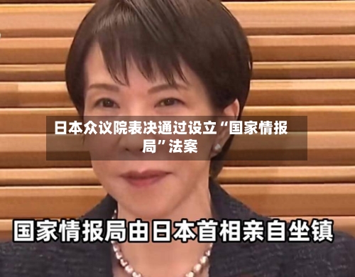 日本众议院表决通过设立“国家情报局	”法案-第1张图片