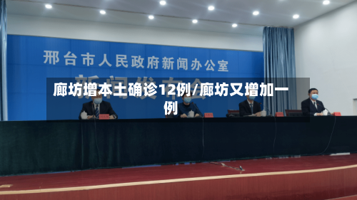 廊坊增本土确诊12例/廊坊又增加一例-第2张图片