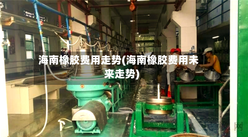 海南橡胶费用走势(海南橡胶费用未来走势)-第2张图片