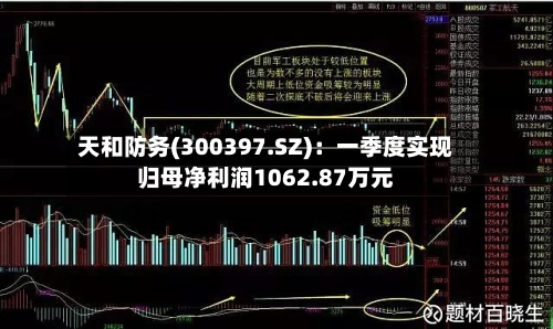天和防务(300397.SZ)：一季度实现归母净利润1062.87万元-第1张图片