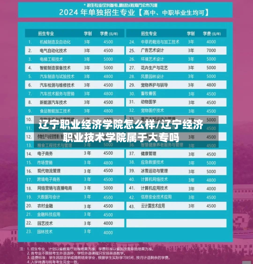 辽宁职业经济学院怎么样/辽宁经济职业技术学院属于大专吗-第1张图片