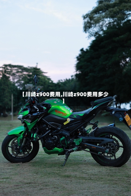 【川崎z900费用,川崎z900费用多少】-第2张图片
