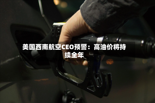 美国西南航空CEO预警：高油价将持续全年-第1张图片