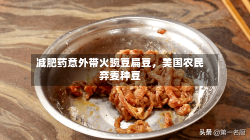 减肥药意外带火豌豆扁豆，美国农民弃麦种豆-第1张图片