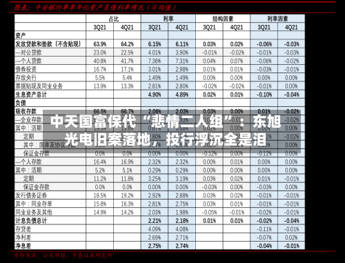 中天国富保代 “悲情二人组	” ：东旭光电旧案落地，投行浮沉全是泪-第1张图片